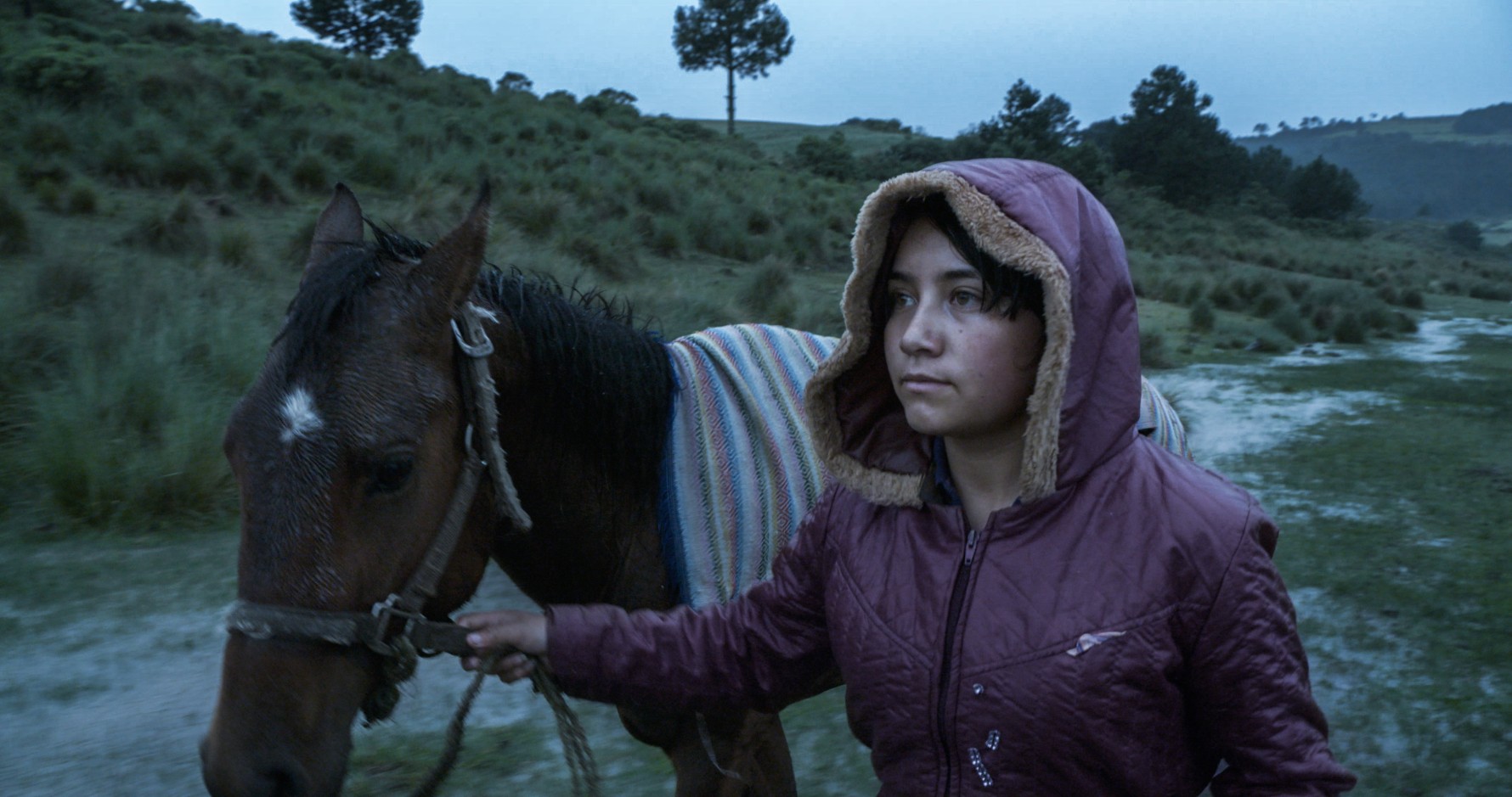 México participa en el festival de Cine de Berlín