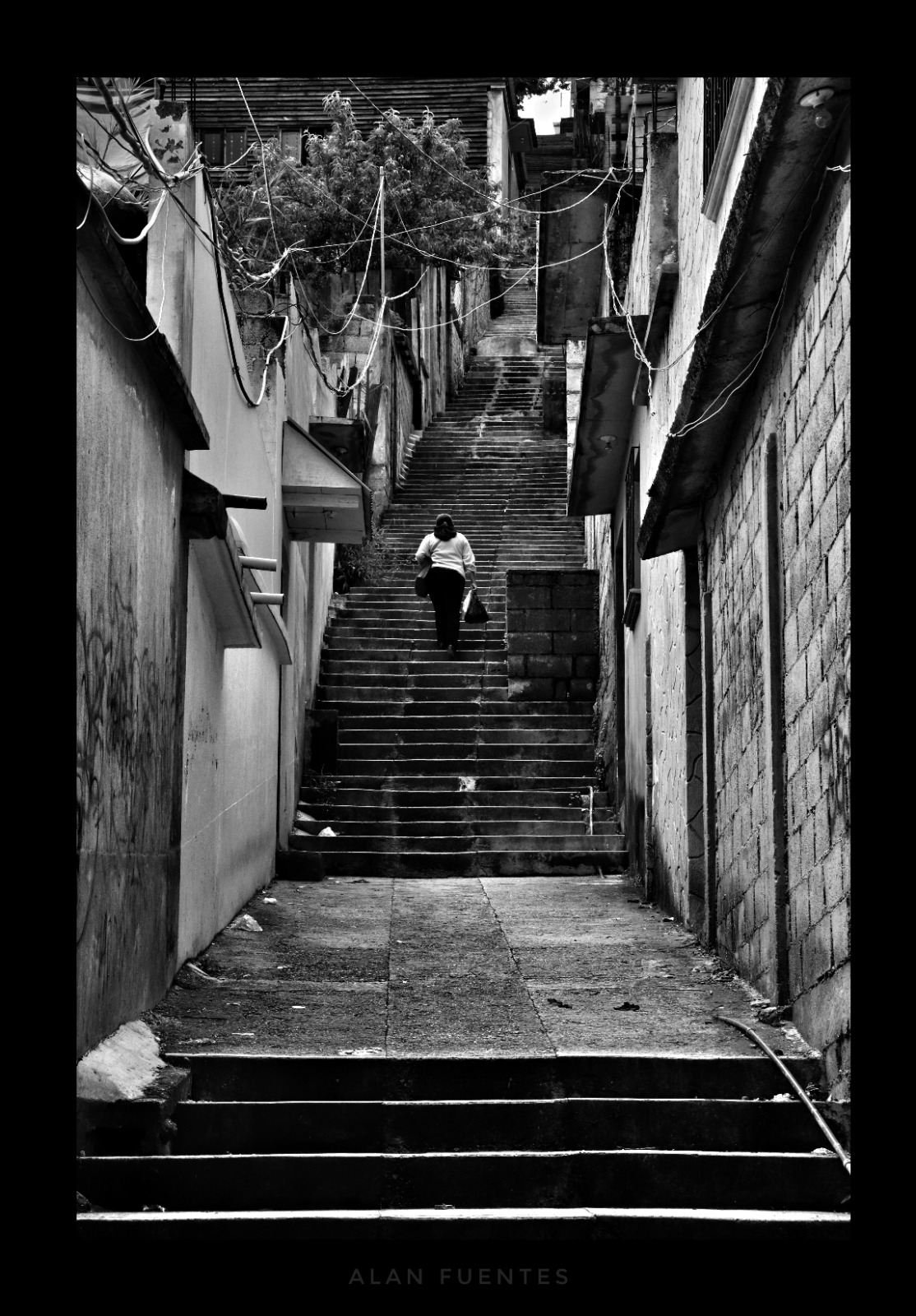 Tragameluz, está integrado por fotógrafas y fotógrafos independientes de diferentes nacionalidades y especialidades