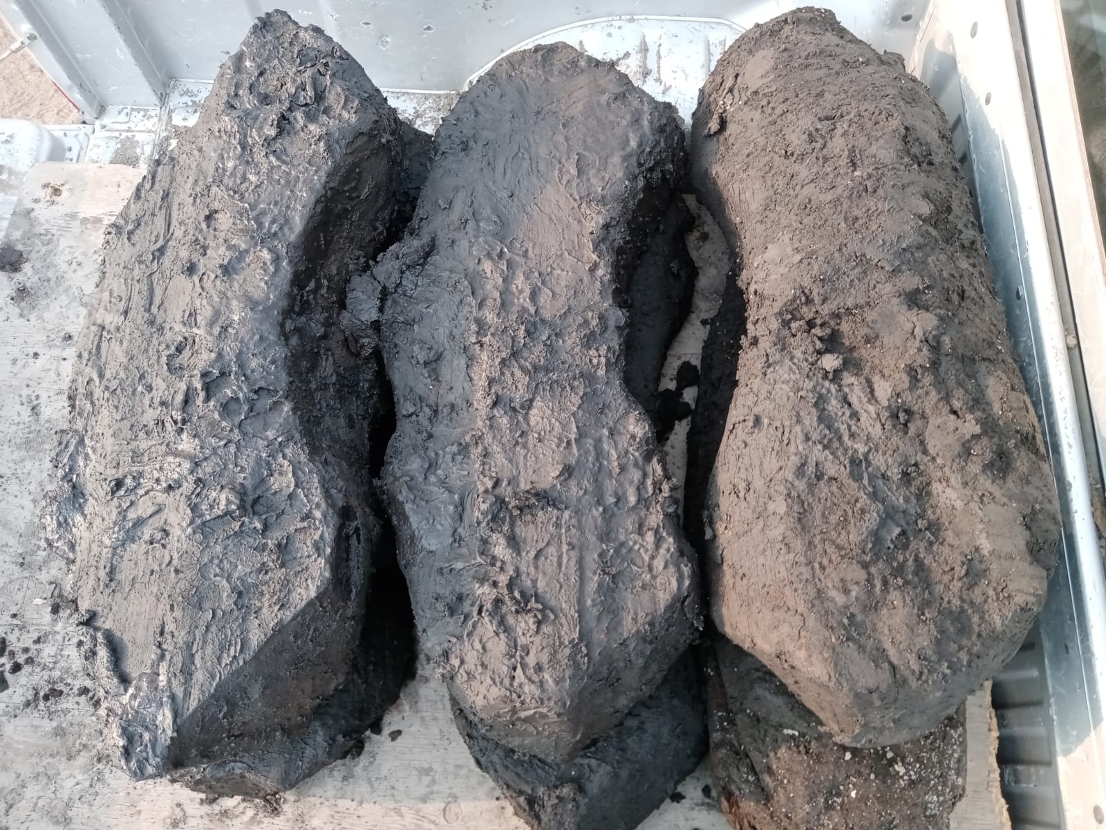 En Chalco, arqueólogos descubren restos de madera que habrían pertenecido a un bergantín