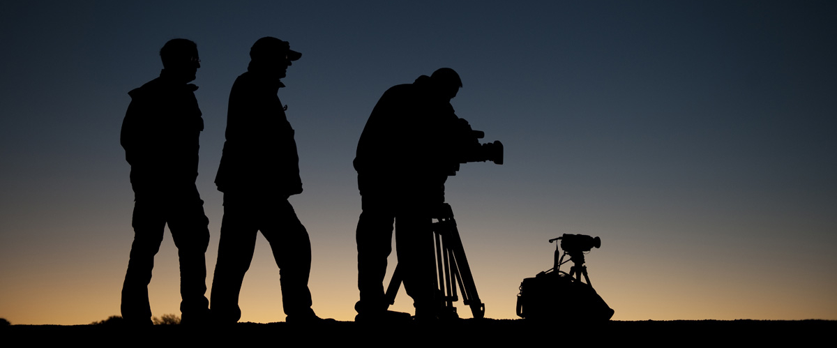 ANIMAL Film Fest convoca a participar en su segundo concurso de guion michoacano de cortometraje