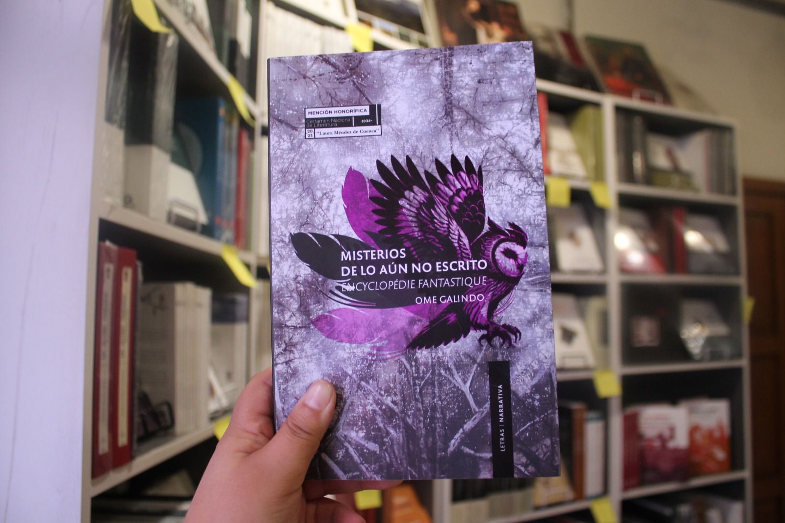 “Misterios de lo aún no escrito”, de Ome Galindo, La obra realiza una crítica sutil a las estructuras sociales de diversas épocas y culturas