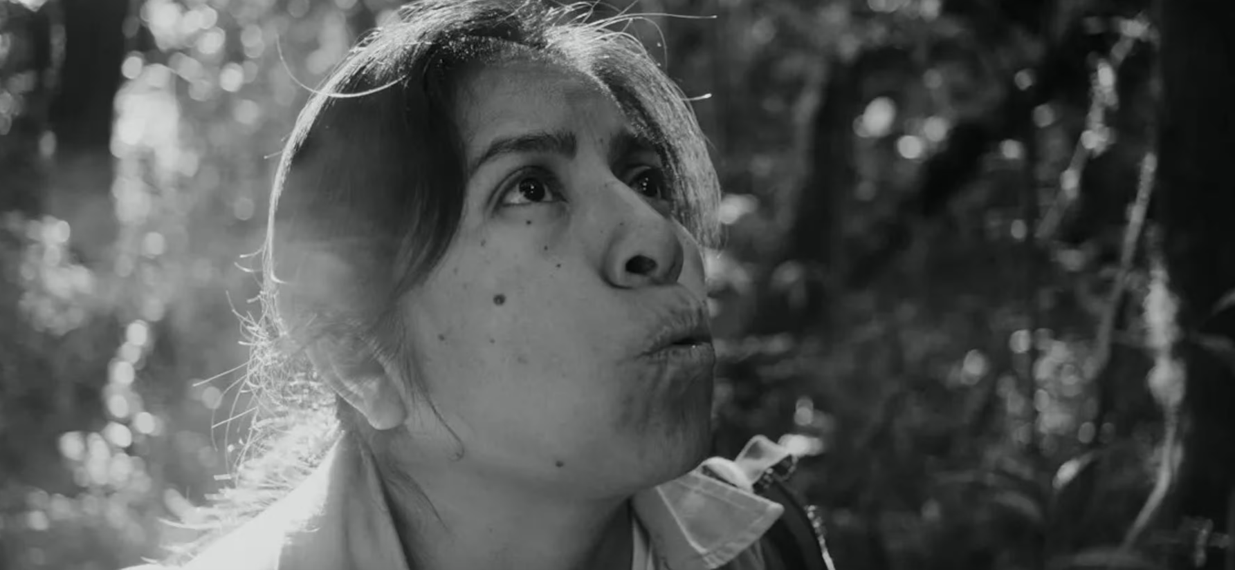 Pablo Pérez Lombardini, obtuvo el Ojo al Mejor Largometraje Mexicano de Ficción, el principal galardón del festival