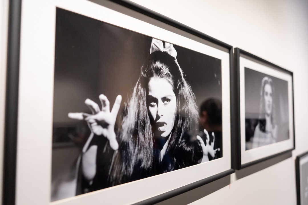 “Maravillosas, monstruosas”, La exposición se conforma por fotografías y fotogramas extraídos del material fílmico