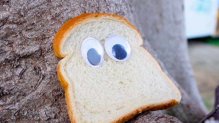 El Día de la Niñez, las funciones se desarrollan en el Foro al Aire Libre